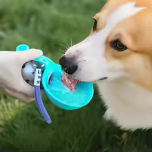 ペットものどが渇く